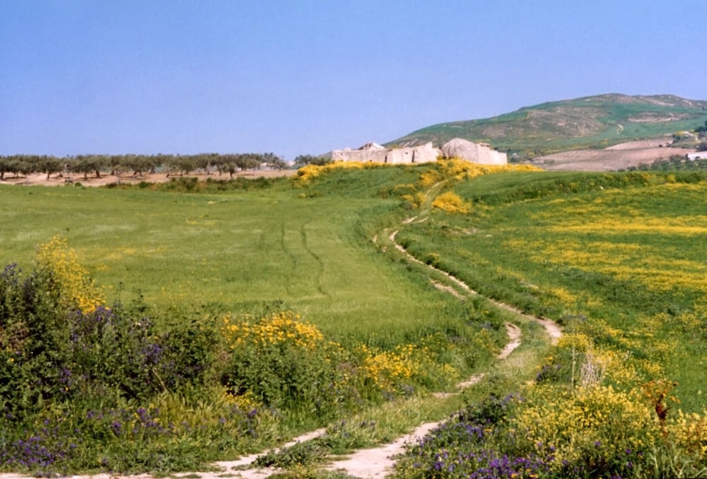 villa giardinata