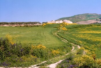 villa giardinata
