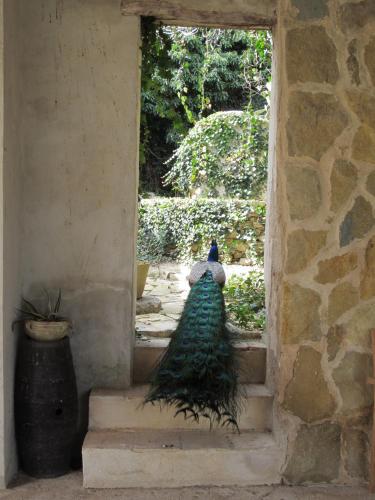 villa giardinata