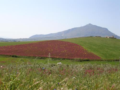 villa giardinata