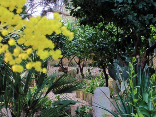 villa giardinata