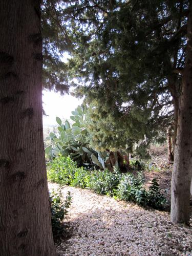 villa giardinata