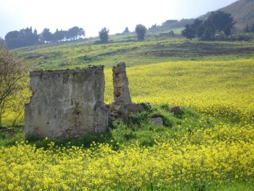 villa giardinata
