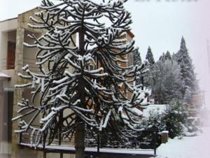 nbh lacus boutique hotel