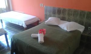 vale verde coroa vermelha