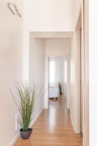 san polo design apartments
