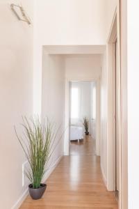 san polo design apartments