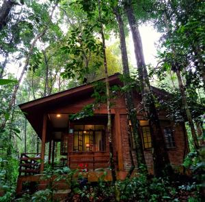 permai rainforest resort