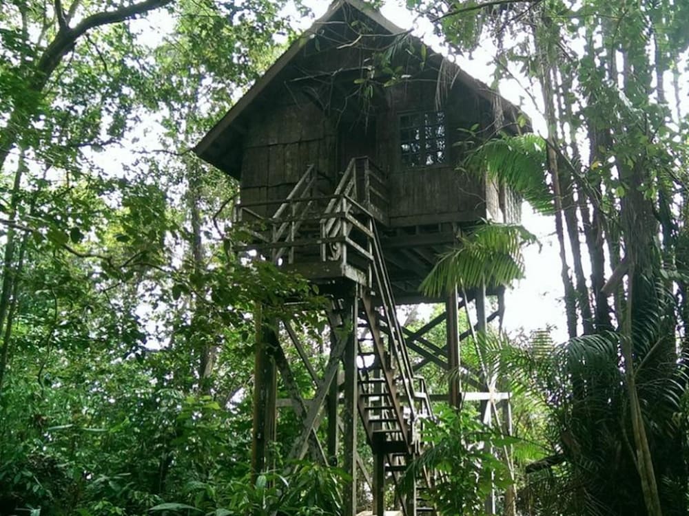 permai rainforest resort