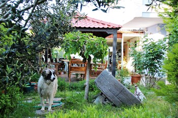 cundavilla hotel and suites