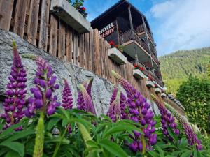 Hotel Derby,Swiss Alps>>Fiesch,3 star