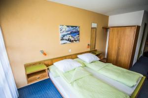Hotel Derby,Swiss Alps>>Fiesch,3 star