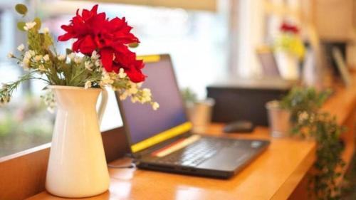 toyoko inn tokyo haneda kuko no 2