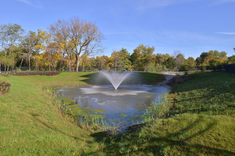 hampton inn and suites ann arbor west