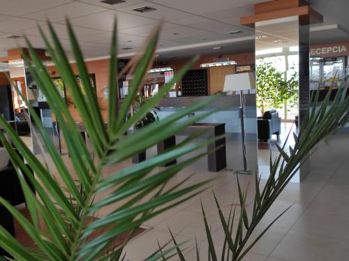 hotel sorea regia