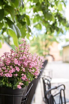 uppsala