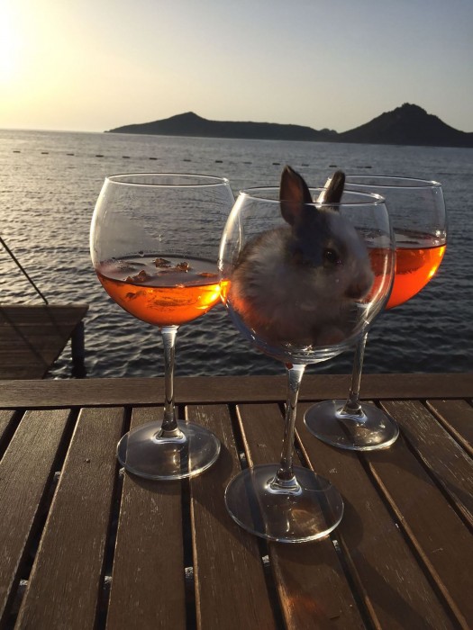 bodrum