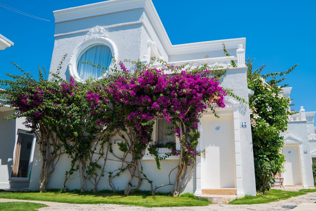 bodrum