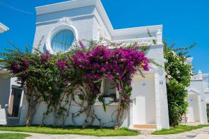 bodrum