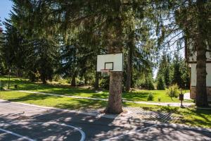 Mountain Lake Hotel,In The Mountains,3 star