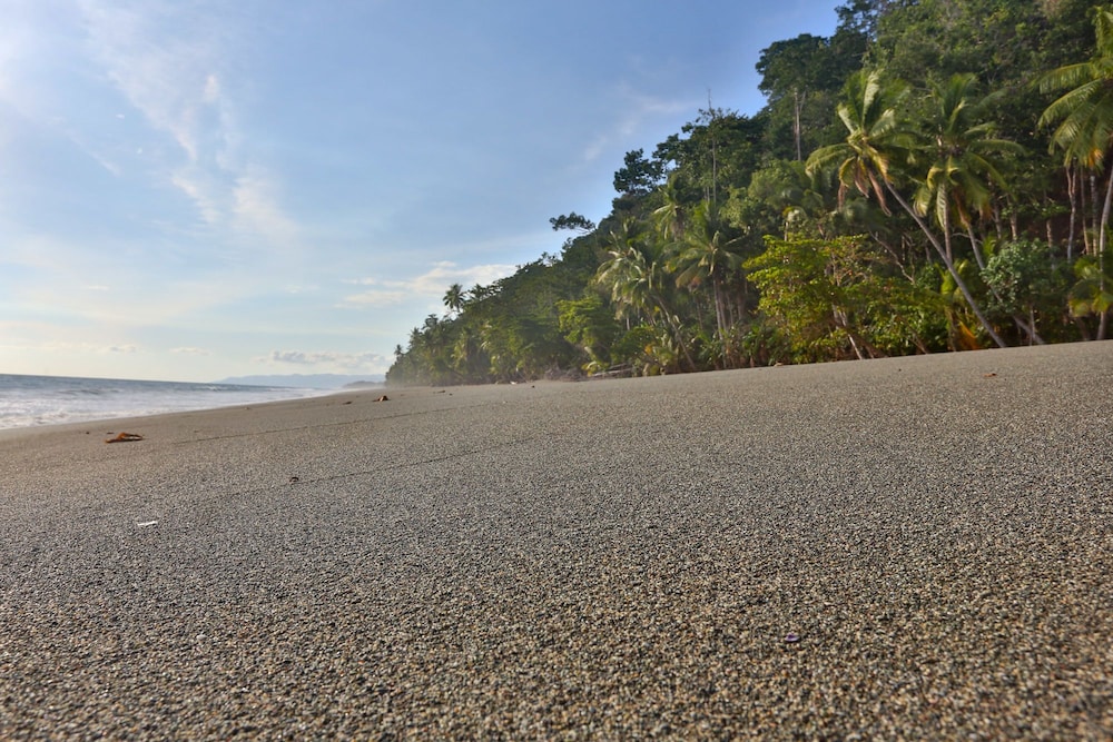 el remanso rainforest lodge