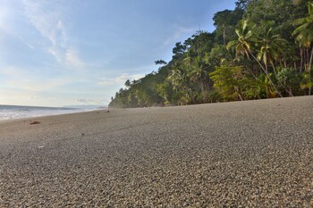 el remanso rainforest lodge