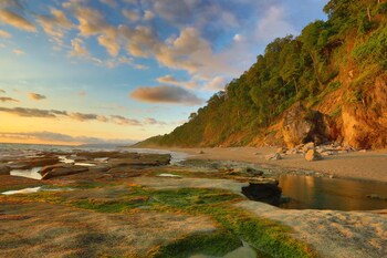 el remanso rainforest lodge