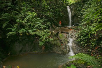 el remanso rainforest lodge