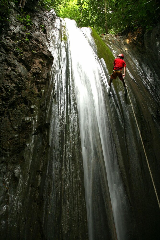 el remanso rainforest lodge