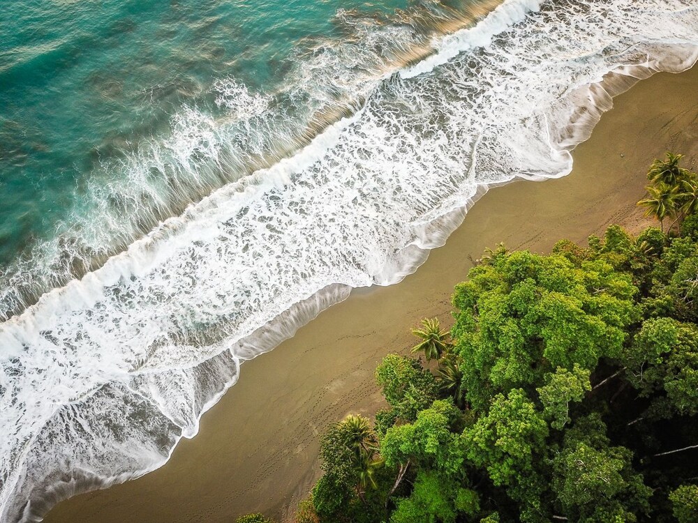 el remanso rainforest lodge