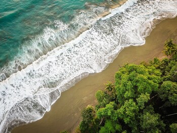 el remanso rainforest lodge