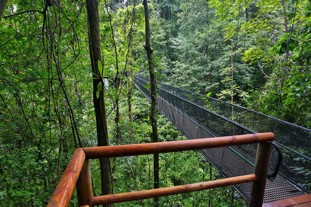 el remanso rainforest lodge