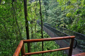 el remanso rainforest lodge