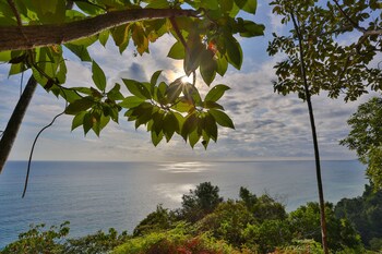 el remanso rainforest lodge