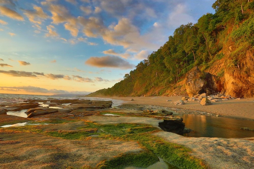 el remanso rainforest lodge