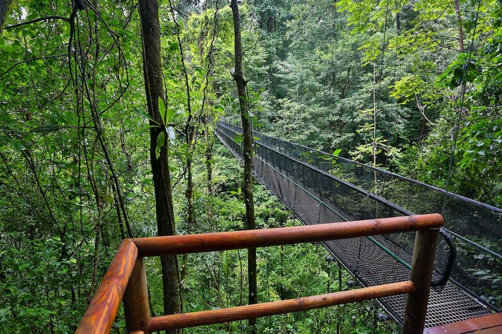 el remanso rainforest lodge