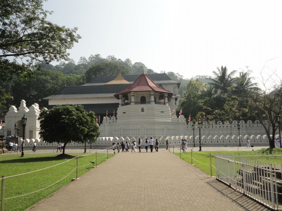 forest villa hotel