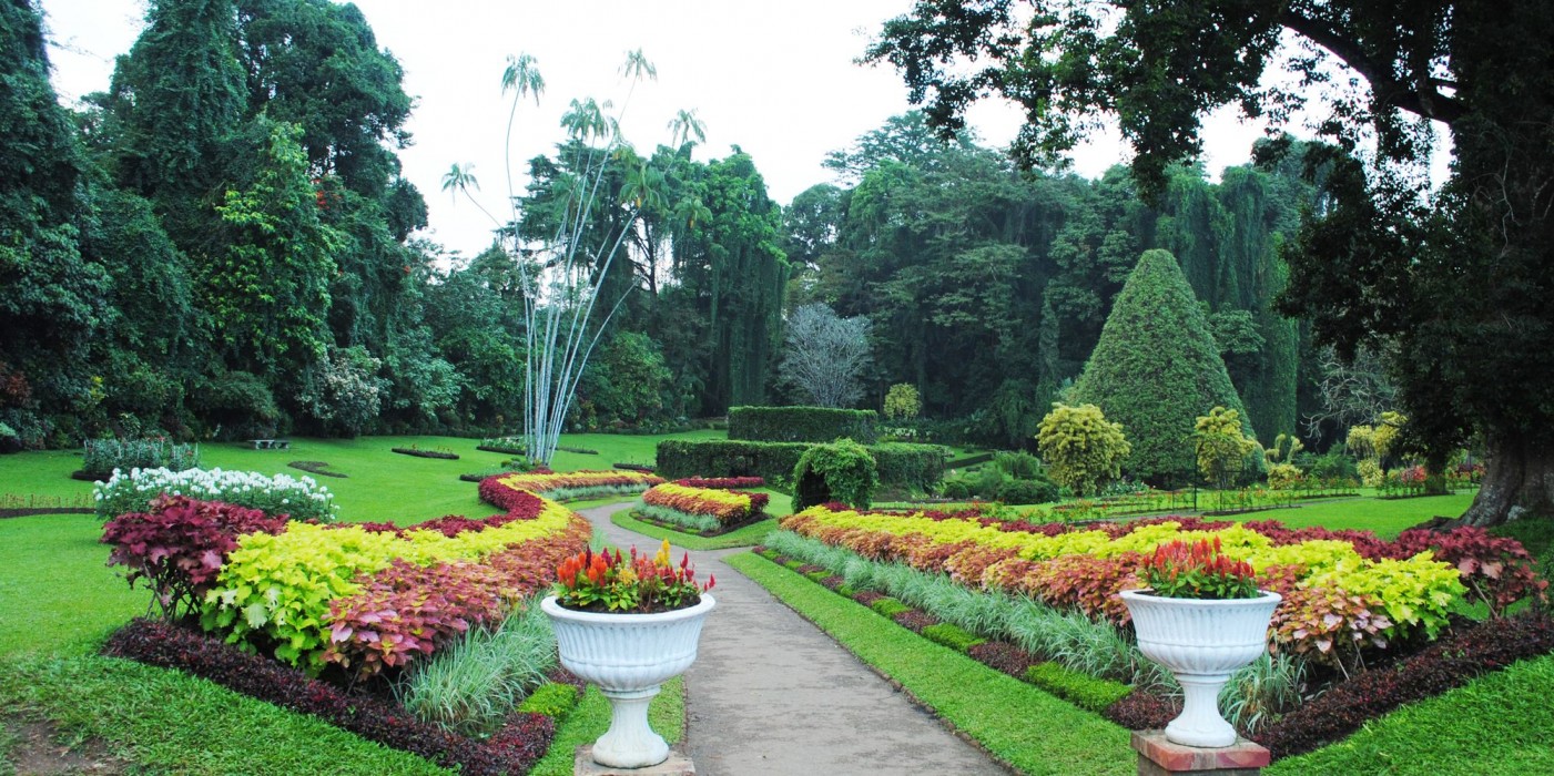 kandy