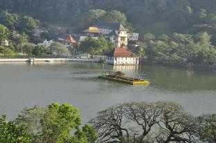 forest villa hotel