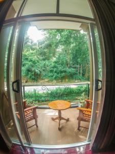 Forest Villa Hotel,Sri Lanka>>Kandy,3 star