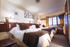 san martin de los andes