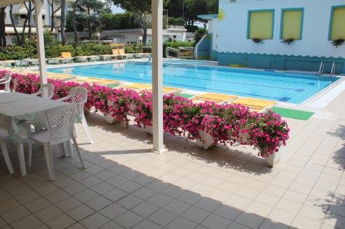 hotel palm beach