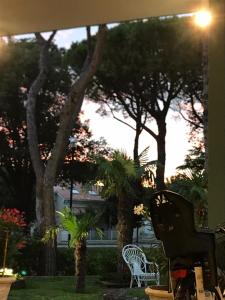 hotel palm beach