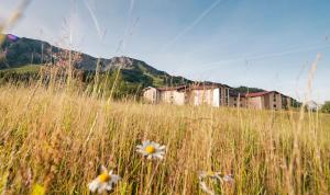 Panoramahotel Oberjoch,Memmingen>>Bad Hindelang,5 star