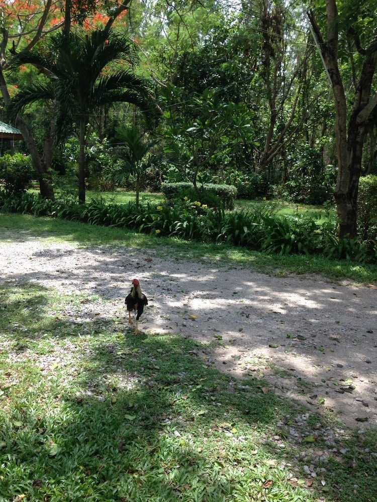 ruenthairimhaad resort