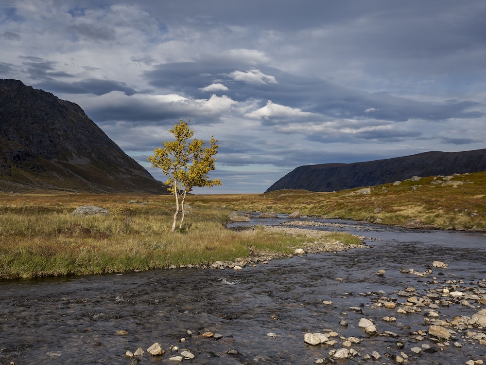 hotell maritim skjervoy as