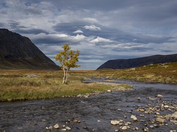 hotell maritim skjervoy as