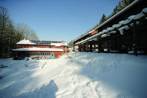 jufa hotel bruck