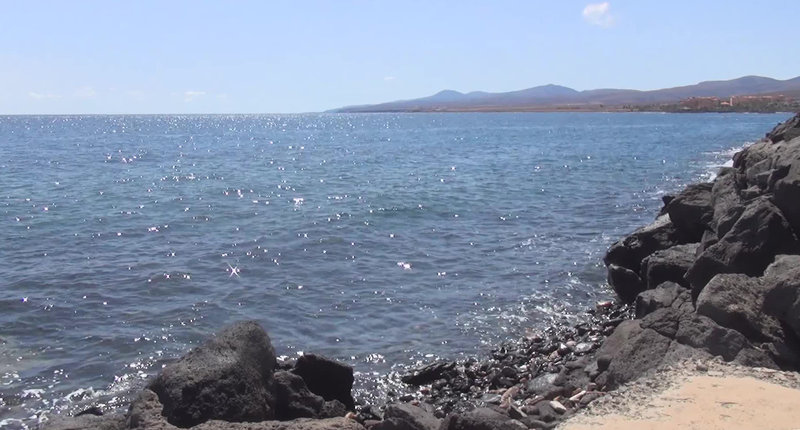smy tahona fuerteventura