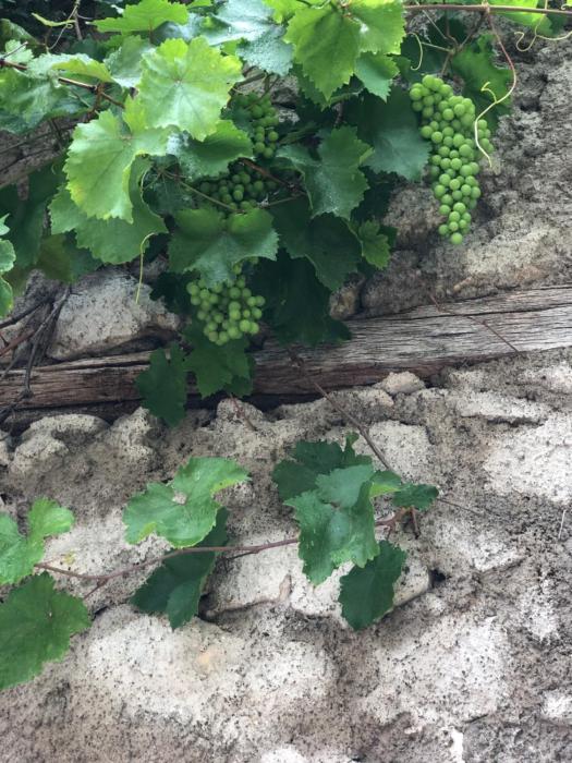 villa anja apartments